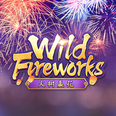 Wild Fireworks